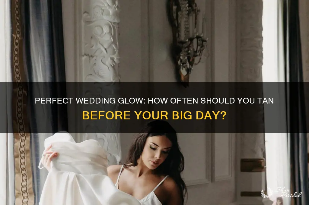 how often should I tan before my wedding