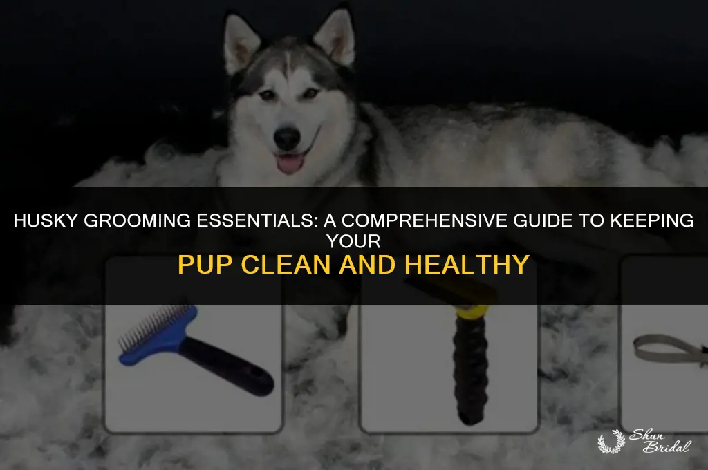 how often should you groom a husky
