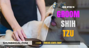 Essential Shih Tzu Grooming Guide: Frequency and Tips