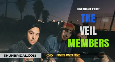Pierce the Veil Members' Ages: Unveiling the Band's Timeline