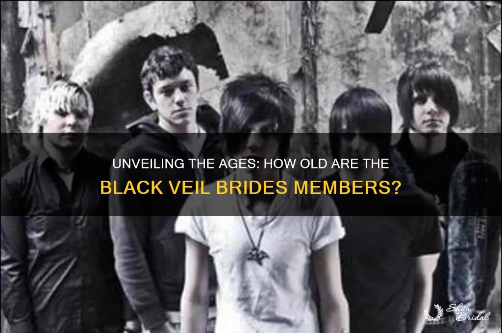 how old are the black veil brides guys