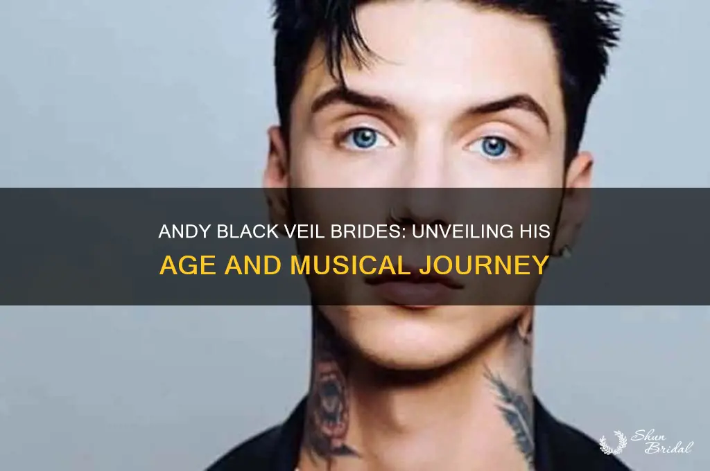 how old is andy black veil brides