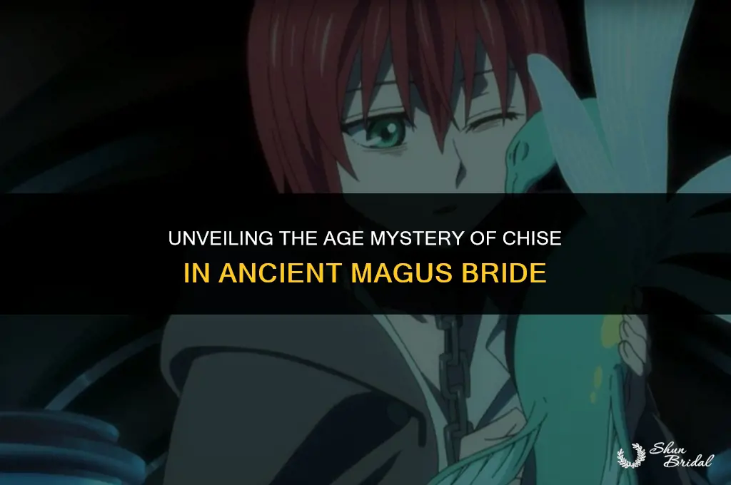 how old is chise ancient magus bride