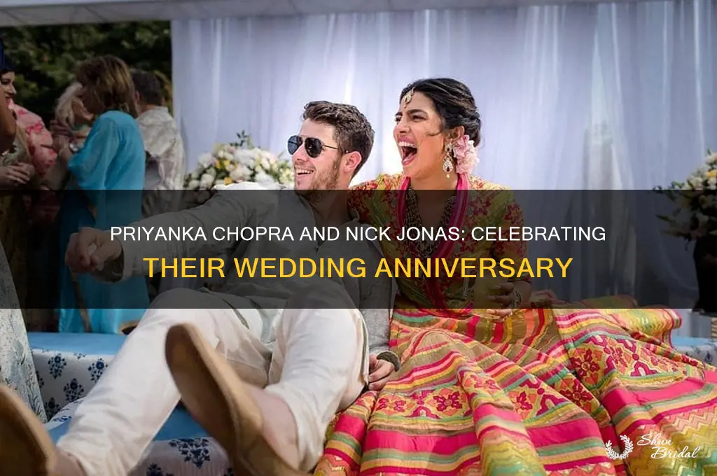 how old is priyanka chopra wedding