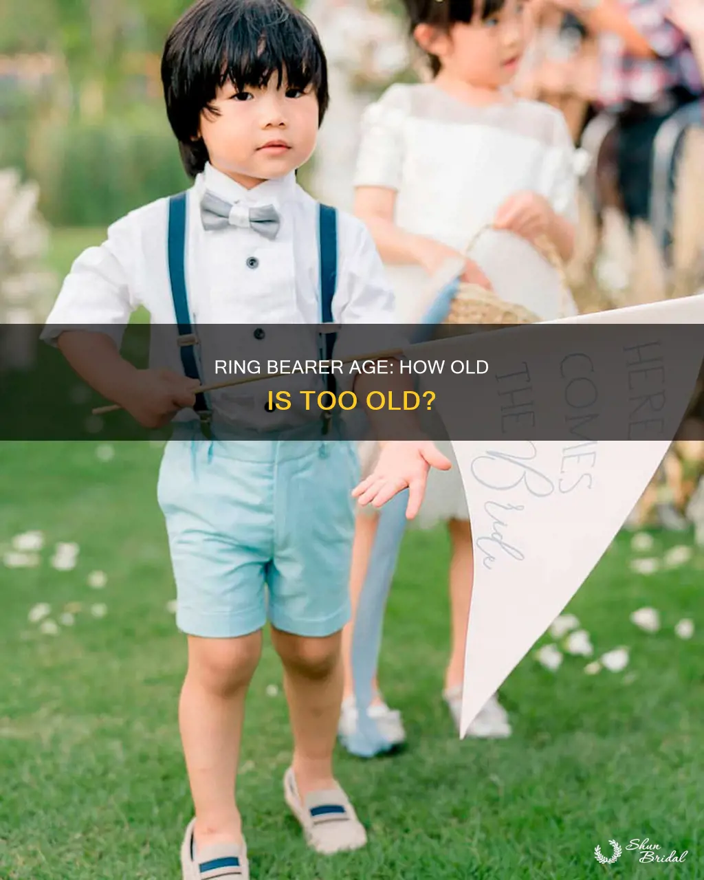 how old is ring bearer