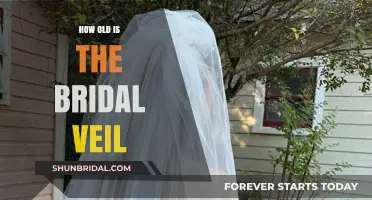 The Timeless Mystery of the Bridal Veil's Age Revealed