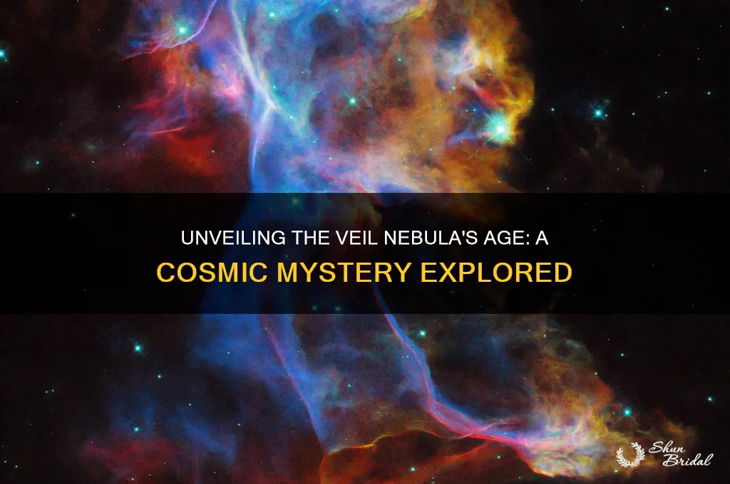 how old is the veil nebula