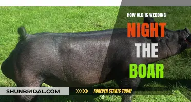 Unveiling the Age Mystery: Wedding Night the Boar's Timeline
