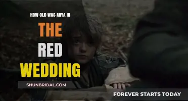 Arya Stark's Age at the Red Wedding: Unraveling the Timeline