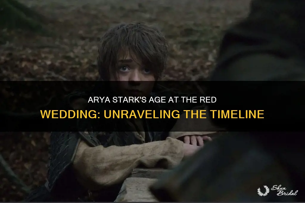 how old was arya in the red wedding