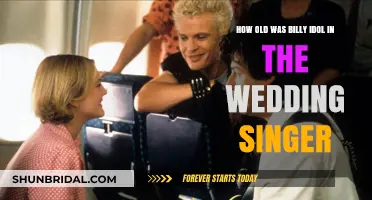 Billy Idol's Age in 'The Wedding Singer' Revealed