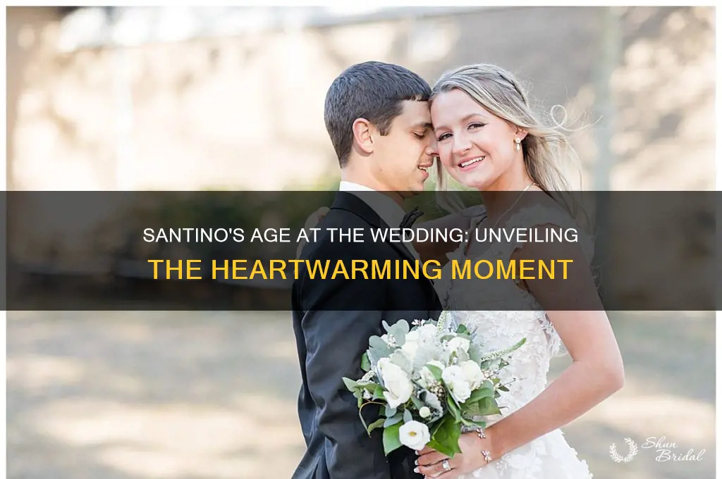 how old was santino at the wedding