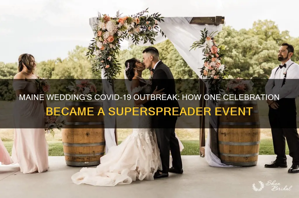 how one wedding in Maine became a superspreader event