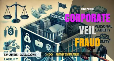 Piercing the Corporate Veil: Uncovering Fraudulent Practices in Business Entities