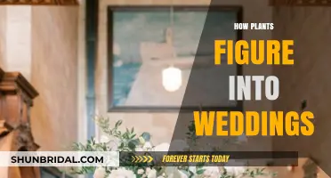 Blooming Love: The Role of Plants in Wedding Celebrations