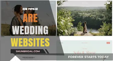 Wedding Websites: A Rising Trend in Modern Celebrations