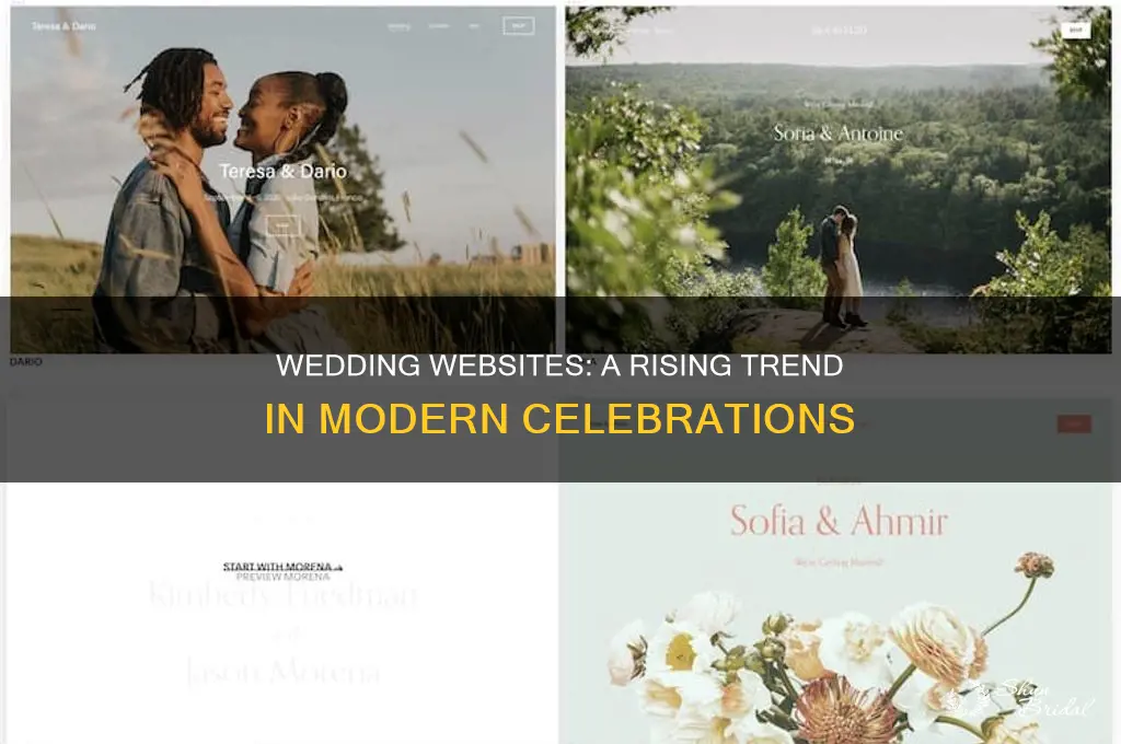 how popular are wedding websites