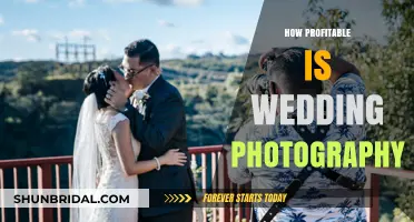 Lucrative Wedding Photography: Is It Worth the Hype?