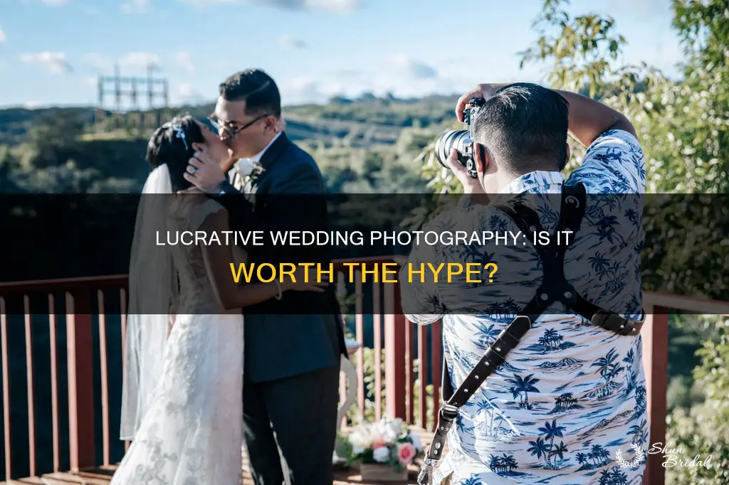 how profitable is wedding photography