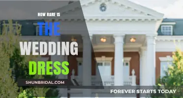 The Hunt for the Elusive Wedding Dress