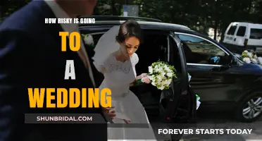 Wedding Risks: Navigating Health, Social, and Financial Concerns at Celebrations