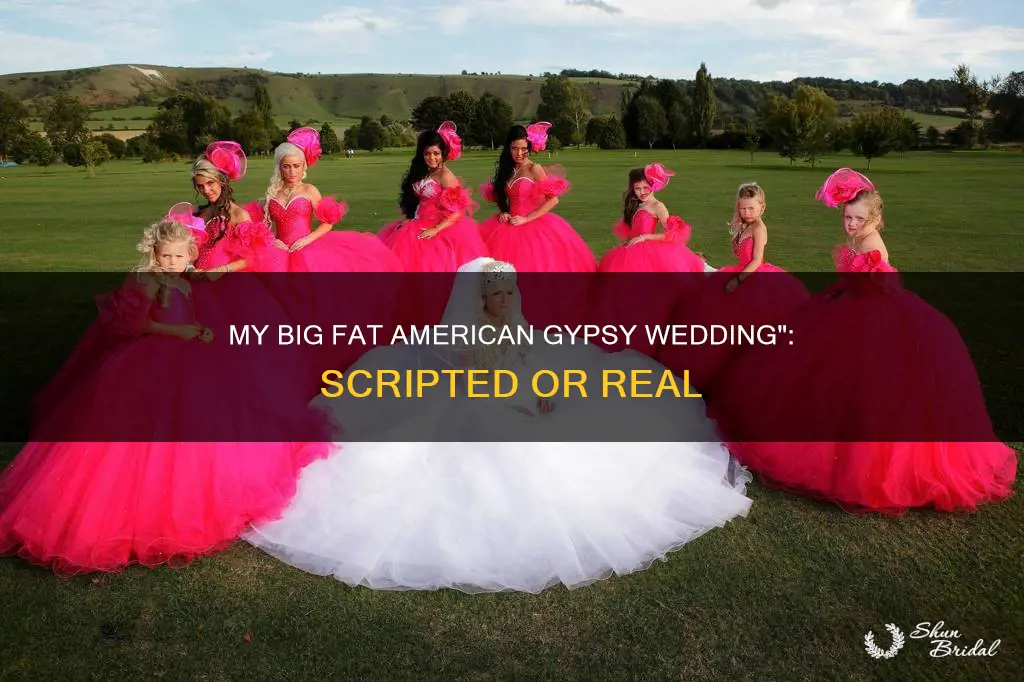 how scripted is my big fat american gypsy wedding