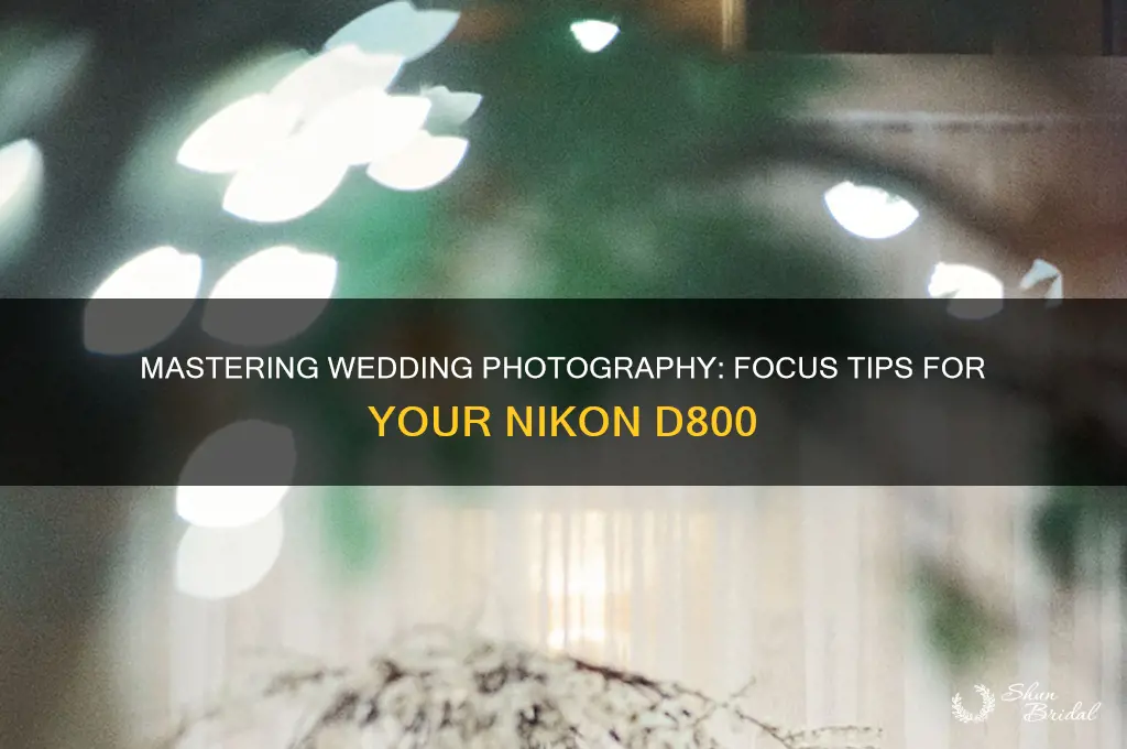 how should I set my focus on d800 for wedding