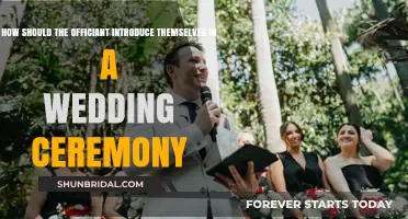 Crafting the Perfect Officiant Introduction for Your Wedding Ceremony