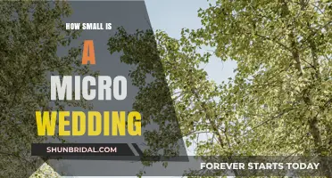 Micro Weddings: Intimate Celebrations Redefining Small-Scale Love Stories