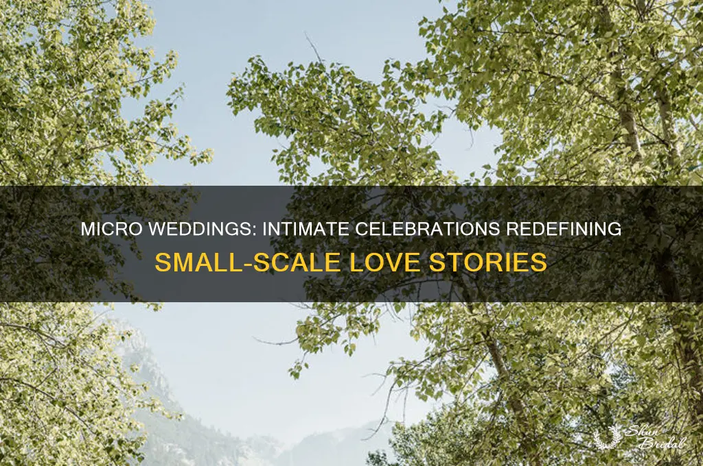 how small is a micro wedding