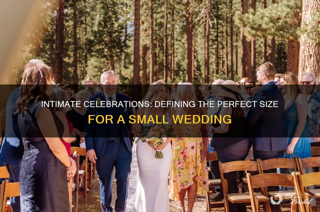 how small is a small wedding