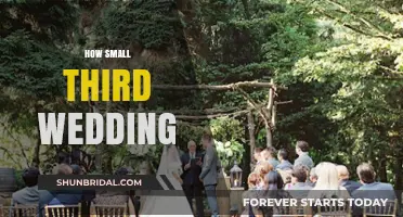 Intimate Third Wedding Ideas: Planning a Small, Meaningful Celebration