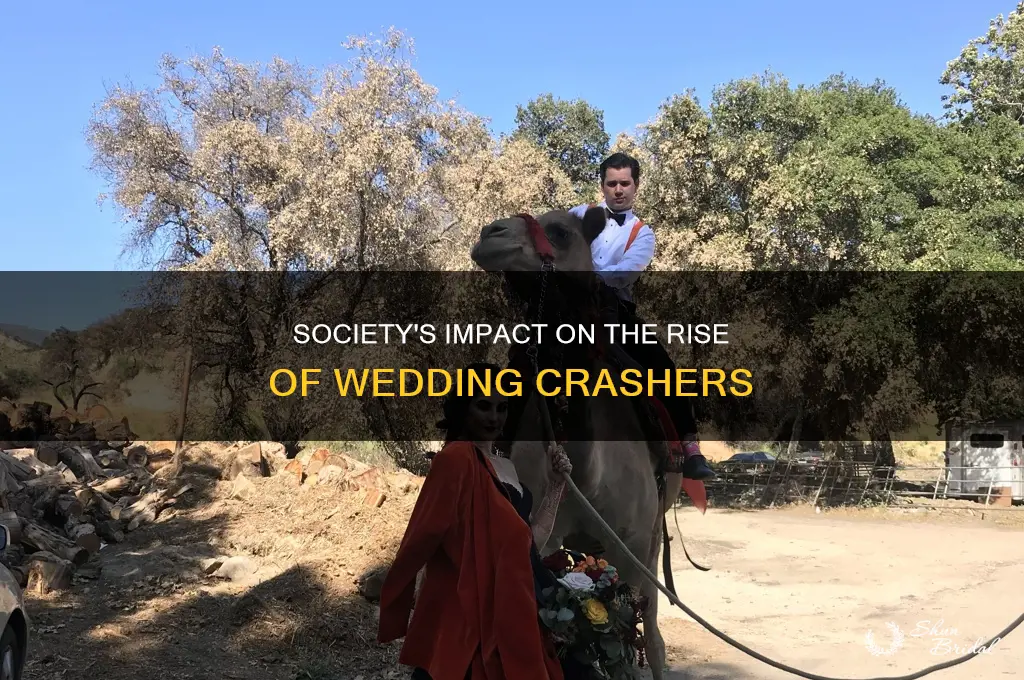 how society affected the wedding crashers