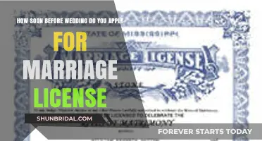 When to Apply for Your Marriage License Before the Wedding