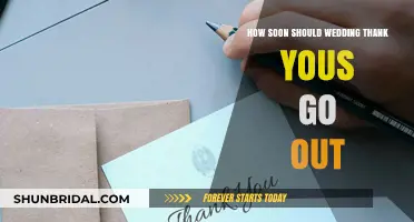 Timely Gratitude: When to Send Wedding Thank You Notes