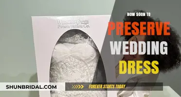 Preserving Your Wedding Dress: When and How to Start?