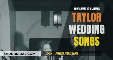 James Taylor's Sweet Wedding Songs for Your Special Day
