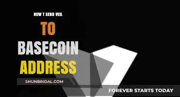 How to Safely Send Veil to Your Basecoin Address: A Guide