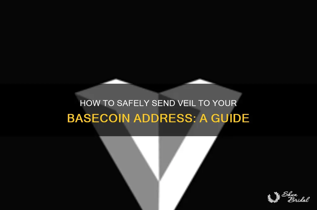 how t send veil to basecoin address