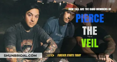 Pierce the Veil Members' Heights: Unveiling the Band's Stature