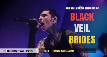Black Veil Brides Members' Heights: Unveiling the Rock Band's Stature