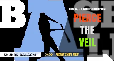 Mike Fuentes' Height: Unveiling Pierce the Veil Drummer's Stature