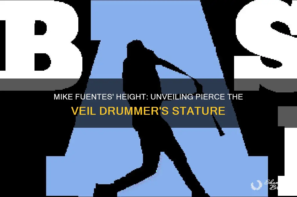 how tall is mike fuentes from pierce the veil