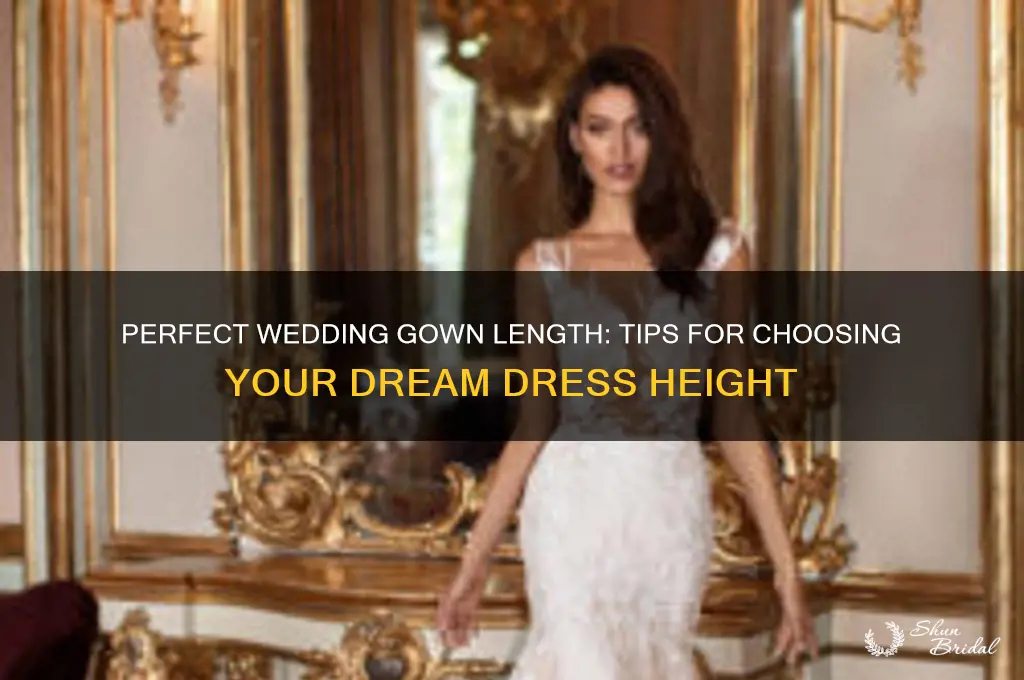 how tall should be my wedding gown