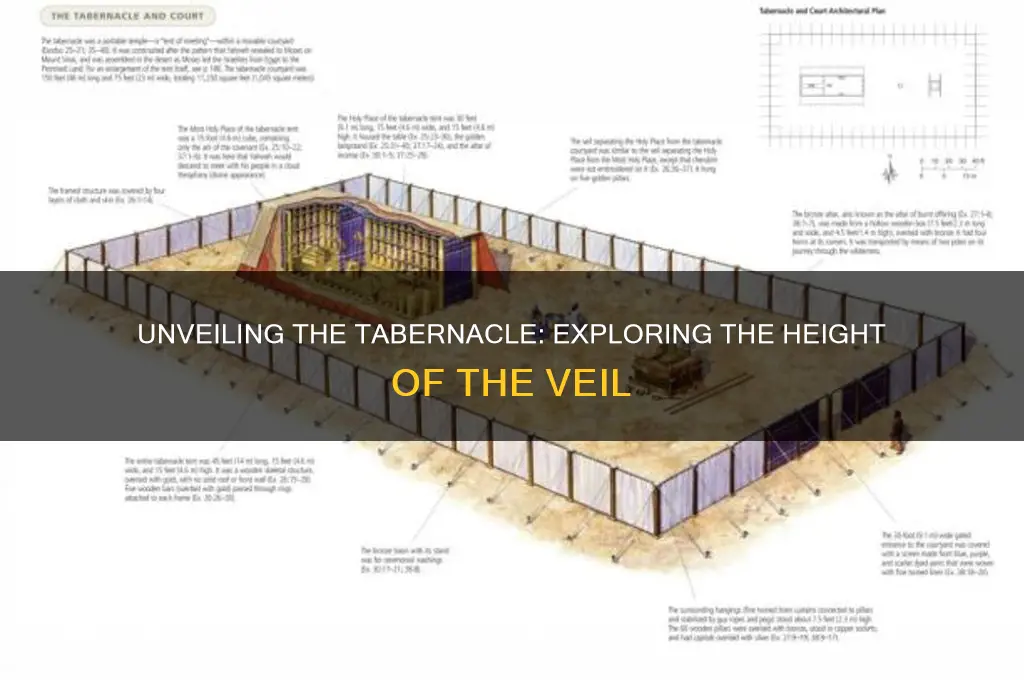 how tall was the veil in the tabernacle