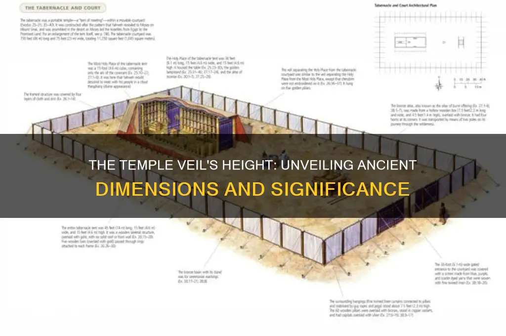 how tall was the veil in the temple
