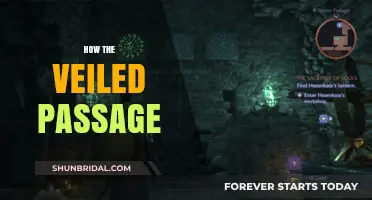 Unveiling the Mystery: Exploring the Veiled Passage's Secrets and Significance
