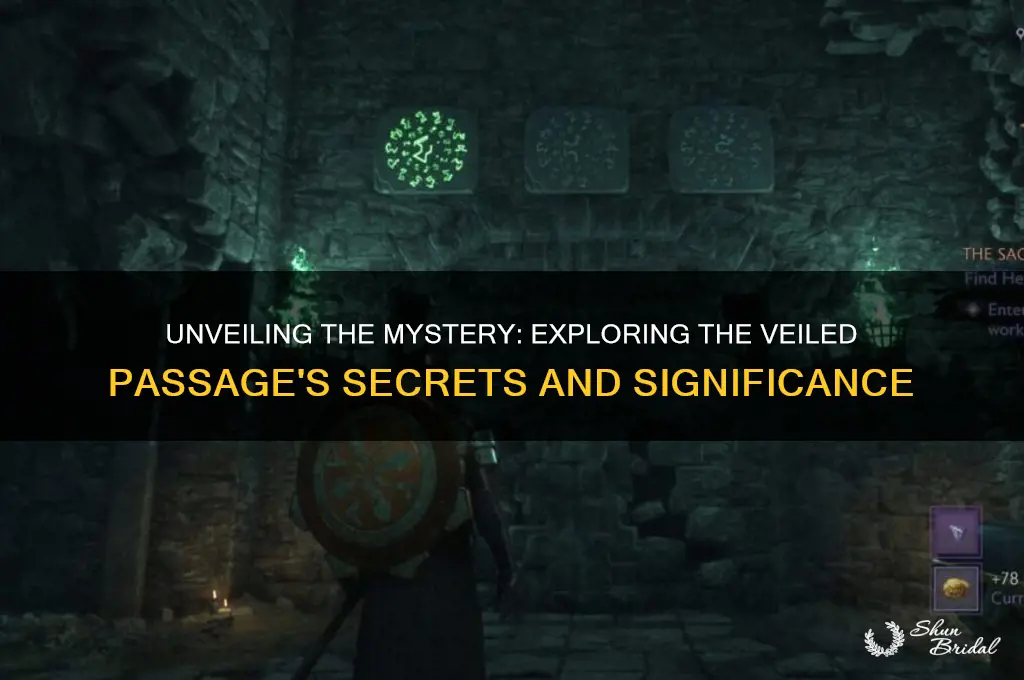 how the veiled passage