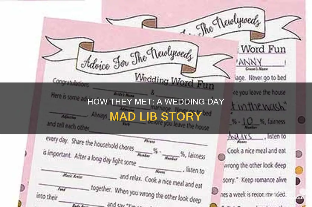 how they met wedding day mad lib