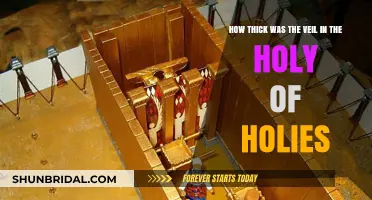 Unveiling the Mystery: The Holy of Holies' Veil Thickness Explored